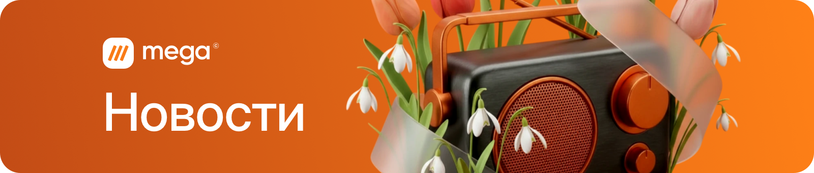 Команда использует Мега Сайт для обмена рабочими файлами